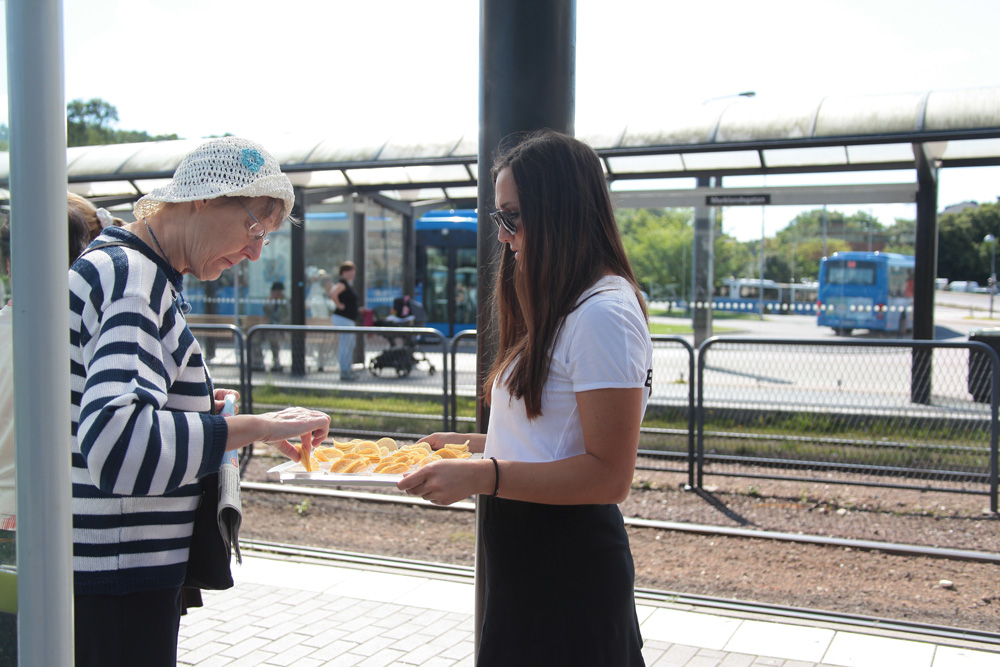 Festival24,  OLW, Festivalmys