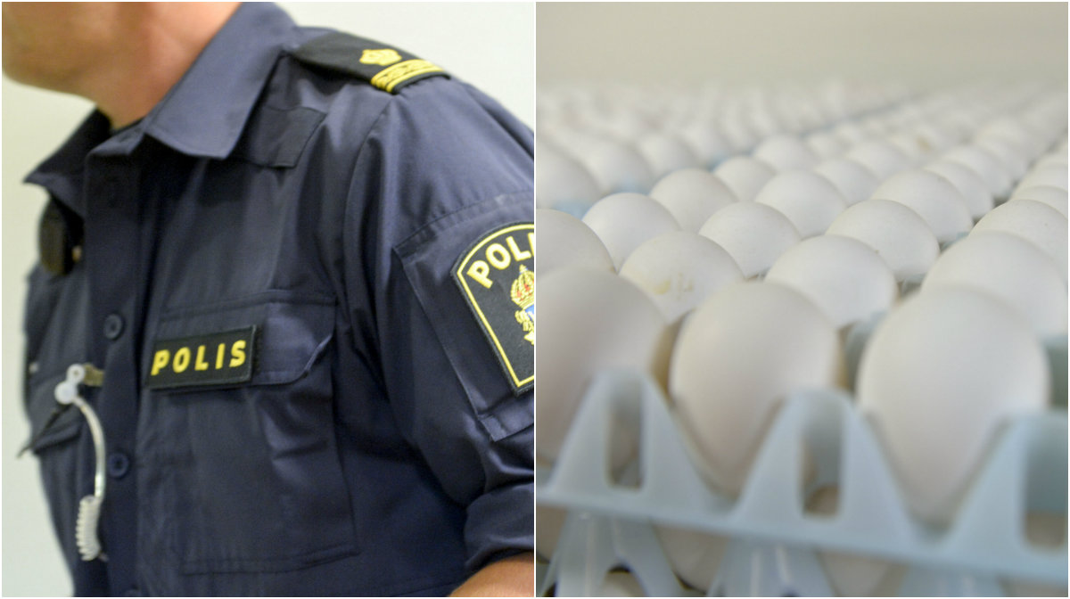 Polisen, Stenkastning, Västra Frölunda, Polisvåld, Göteborg, ägg