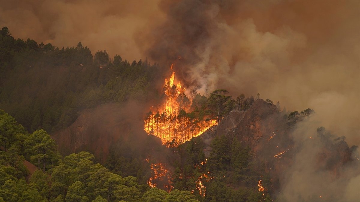 Skogsbranden på Teneriffa är ännu inte under kontroll.