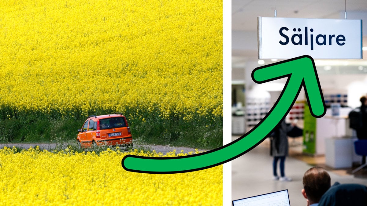 Gula bilar: Topp 5 anledningar till varför de är det säkraste valet för dig