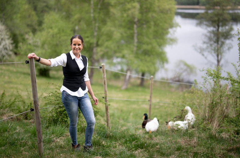 Ankan Jocke och hans fyra vänner är inte bara en del av Maria Wensunds familj – de har dessutom gett inspiration till händelser i boken.