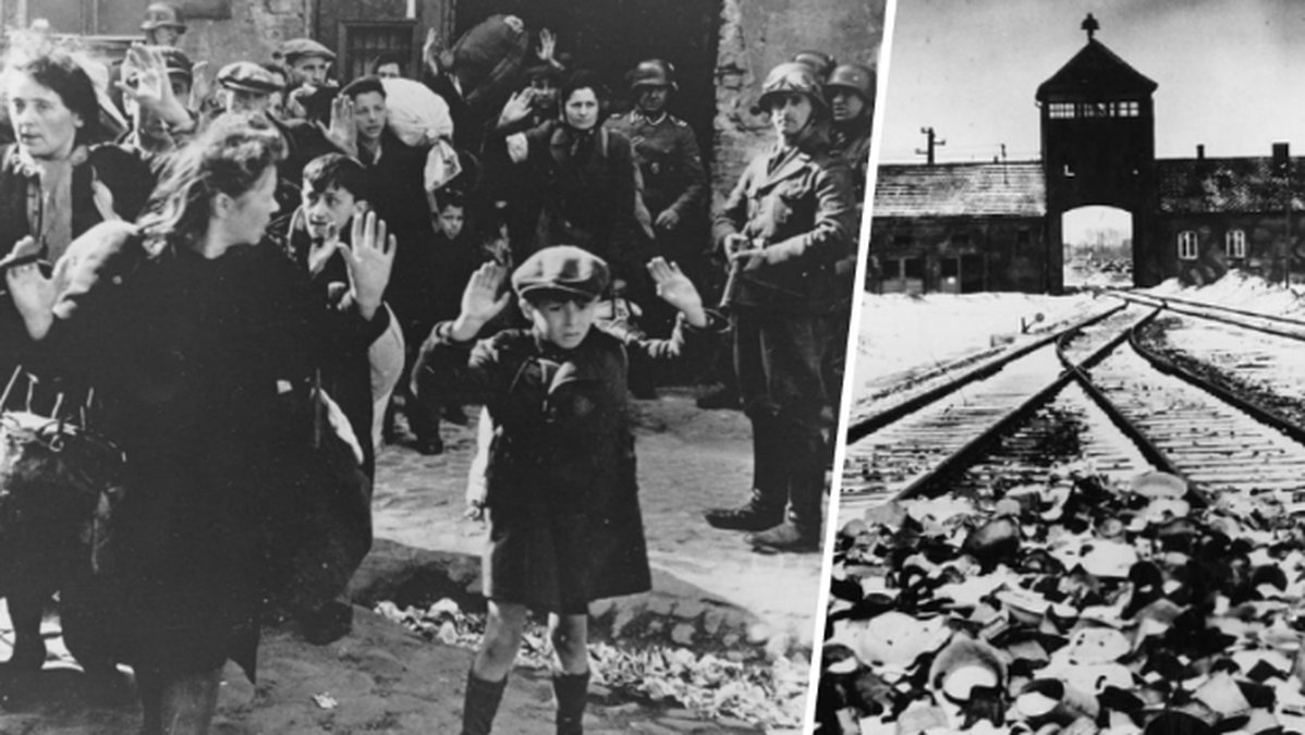 Förintelsen, Auschwitz-Birkenau
