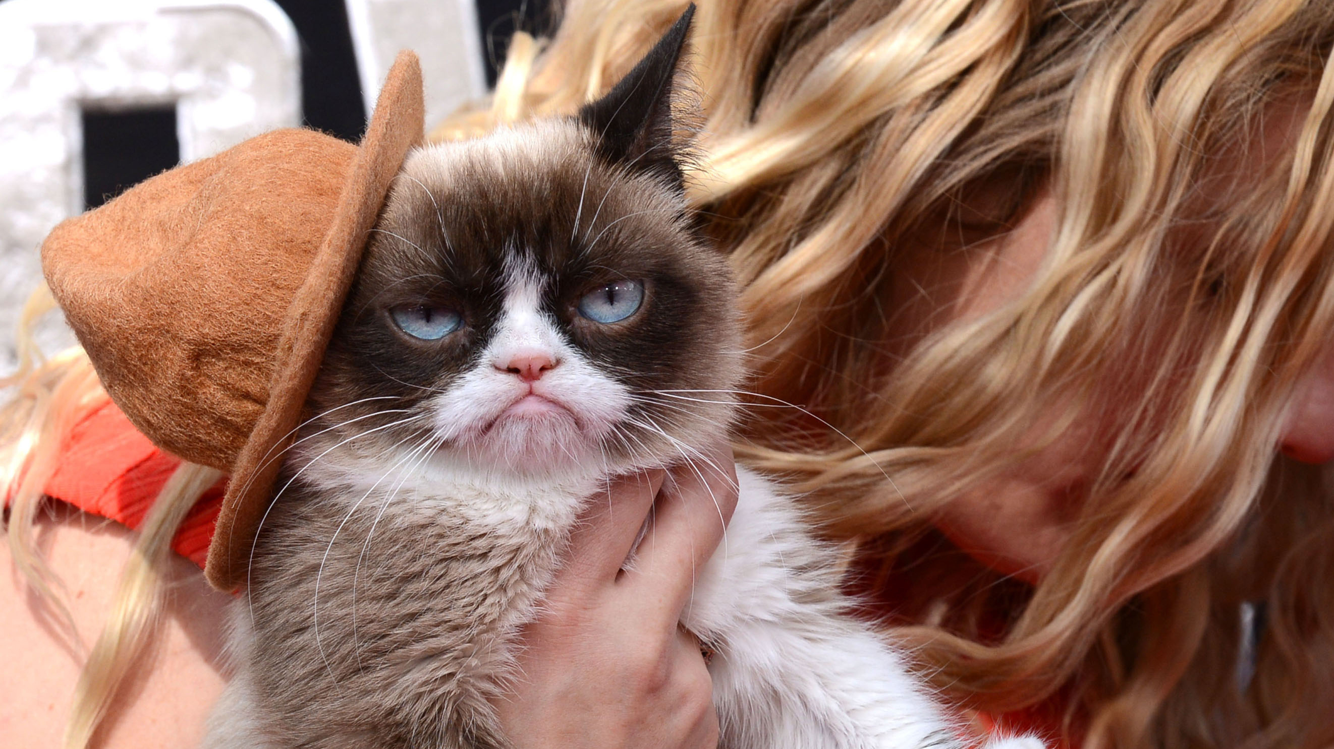 Även Grumpy Cat var med på ett hörn. Även Grumpy Cat var med på ett hörn.