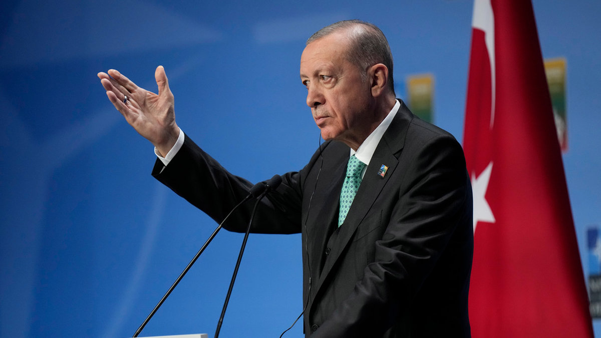 Turkiske presidenten Recep Tayyip Erdogan. Arkivbild.