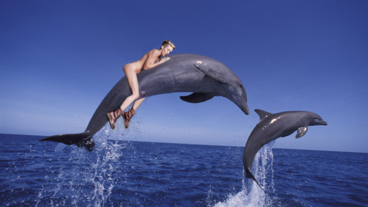 Miley på en delfin.