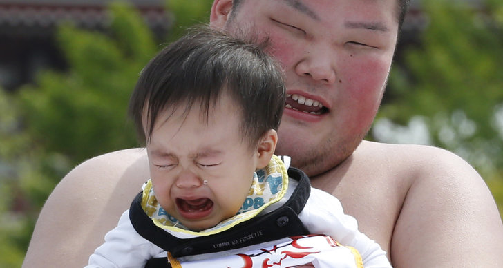 Barn, Bild, sumo, Japan