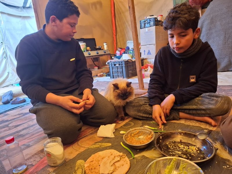 Maysaa al-Khodarys äldsta söner, 14-årige Saeed och 11-årige Yazeed, äter mat tillsammans med familjens katt. Katten Leio räddade de från hemmet familjen lämnat bakom sig när de insåg att kriget skulle pågå länge.