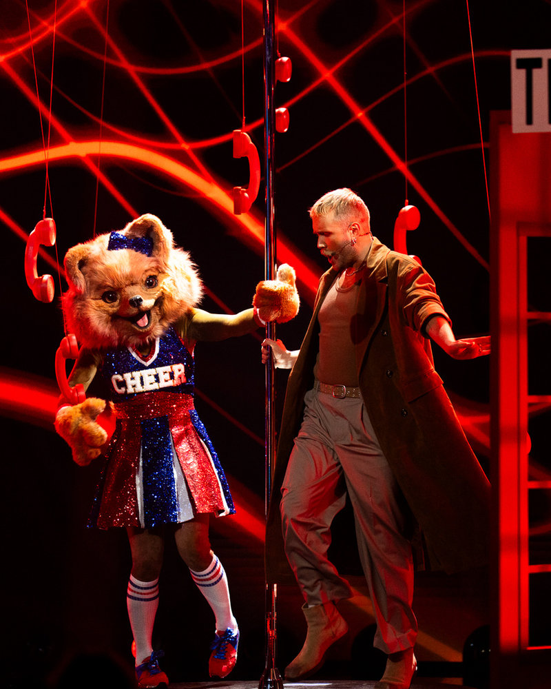 Edvin Törnblom hade valt en Lady Gaga-låt till Pom Pom Pomeranians nummer. Pressbild.