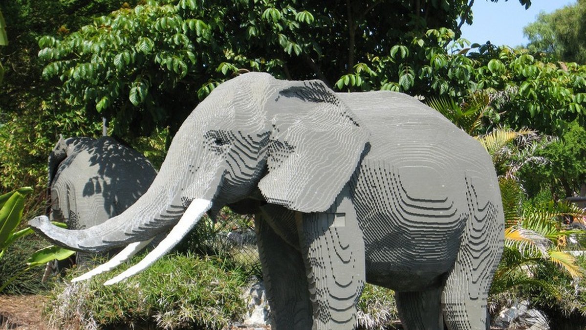 En elefant.