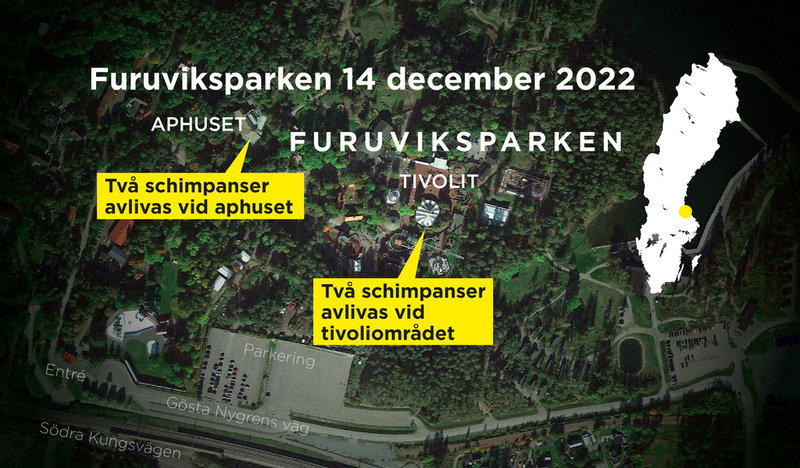 Här avlivades schimpanserna.