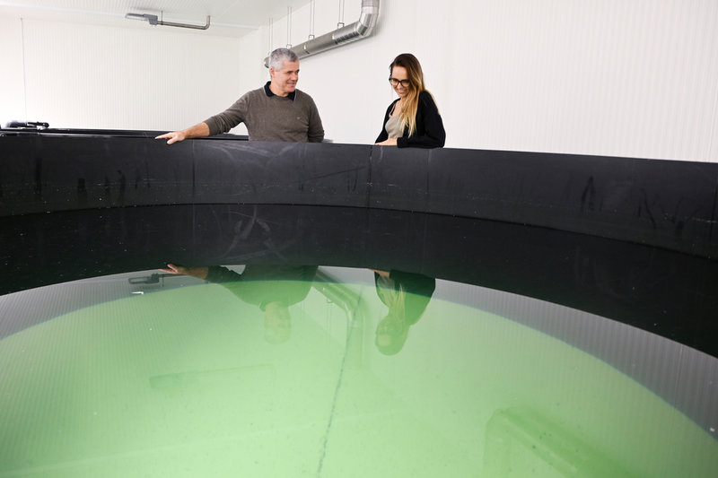 "Vi kan styra salthalt, ljus, temperatur, pH – allt du vill, säger vd Konrad Stralka, här med Madeleine Kullenbo, kommunikationschef.