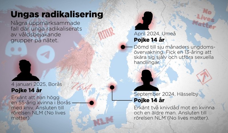 Uppmärksammade fall i Sverige det senaste året, där unga radikaliserats av våldsbejakande grupper på nätet.