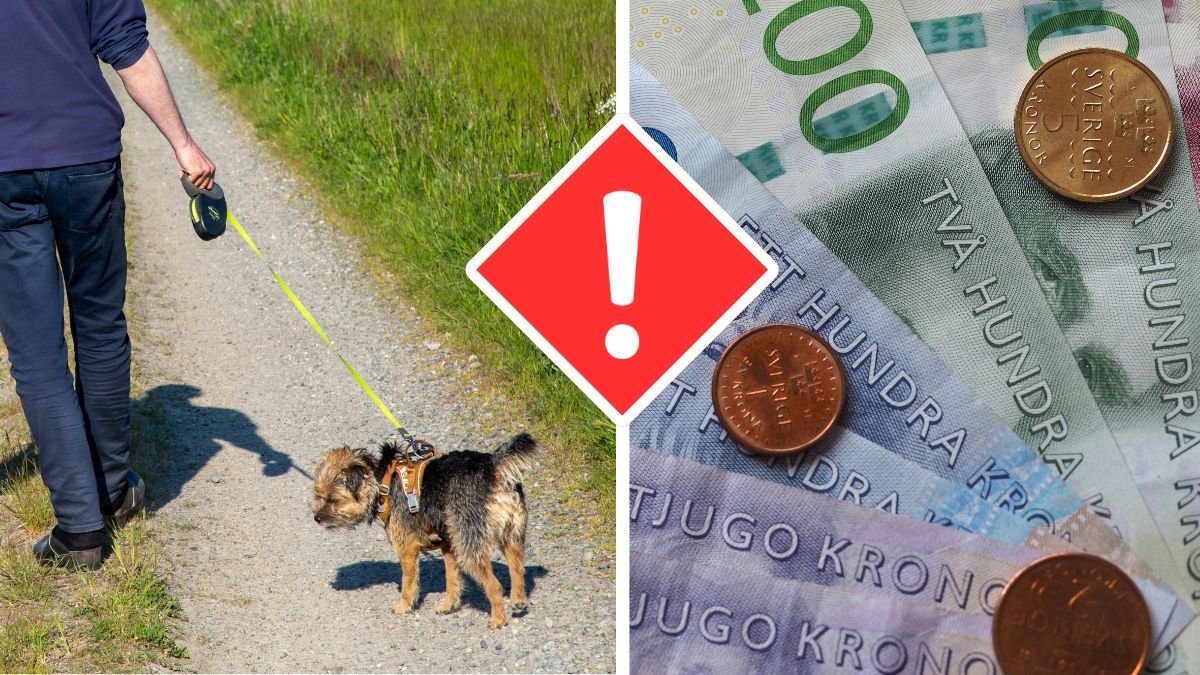 Hundägare missar regeln – kan kosta 800 kronor