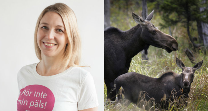 Camilla Björkbom, Jakt, Djurens rätt, Älgjakt, Djurskydd