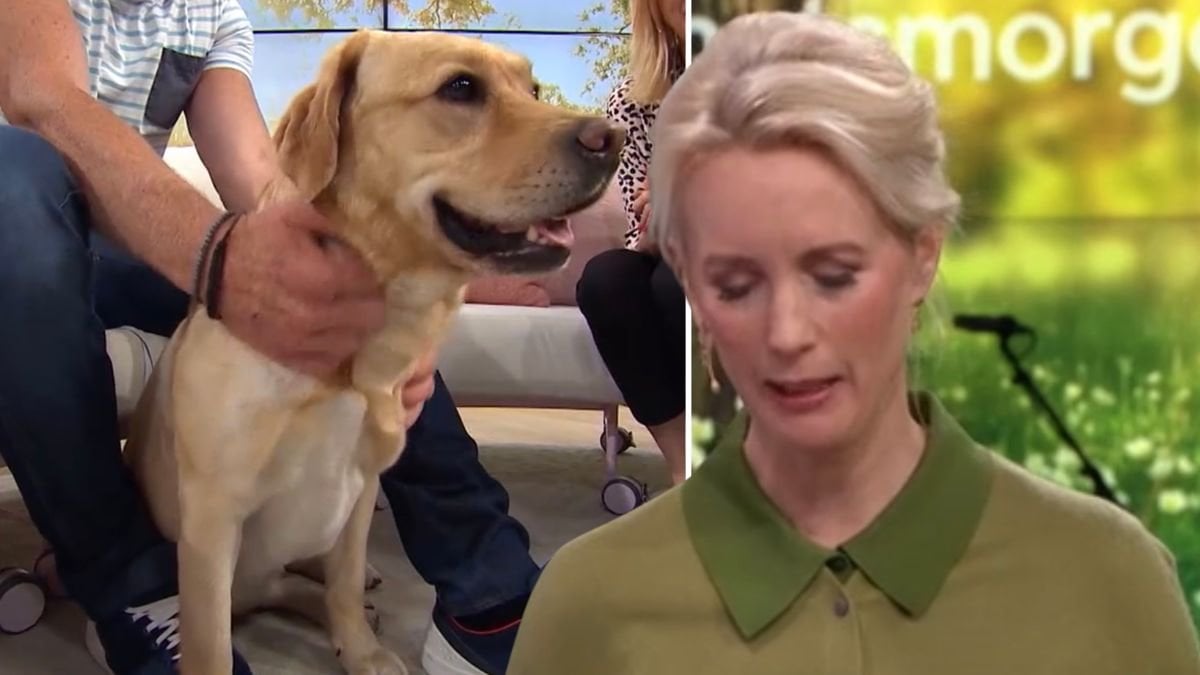 Tårarna i Nyhetsmorgon efter tunga beskedet