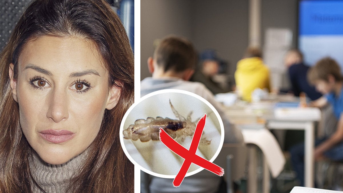 Katrin Zytomierska kollar andras barn för löss: "Vansinnig"