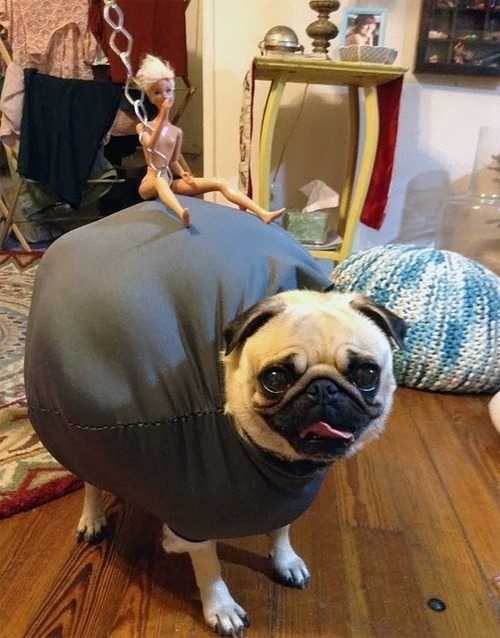Miley Cyrus wrecking ball. Miley Cyrus wrecking ball.
