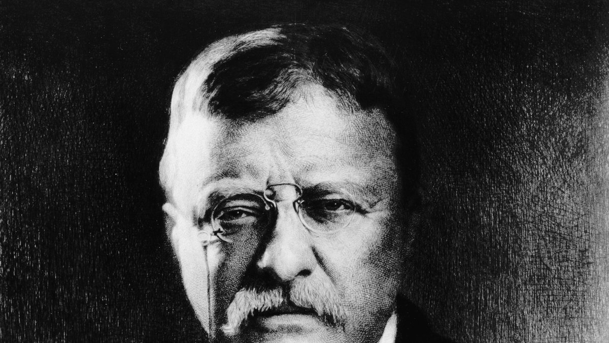 Theodore Roosevelt. President mellan 1901-1909.