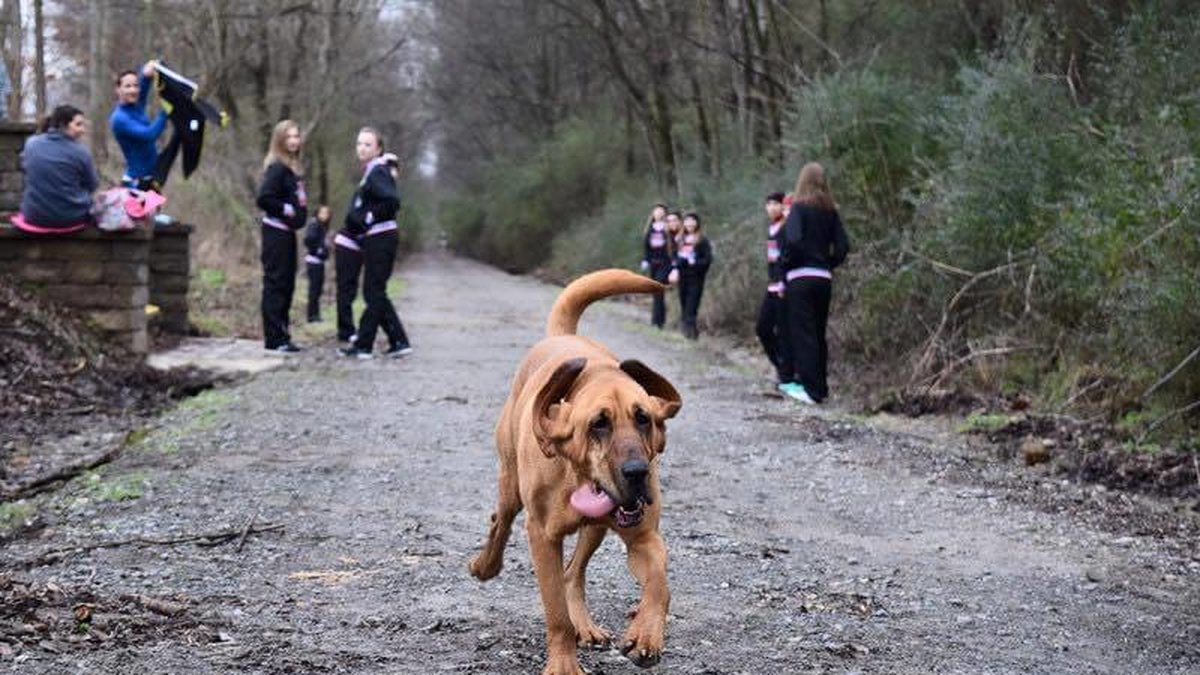 Det var i helgen som April Hamlin från Elkmont, Alabama skulle släppa ut sin hund Ludivine för att kissa.