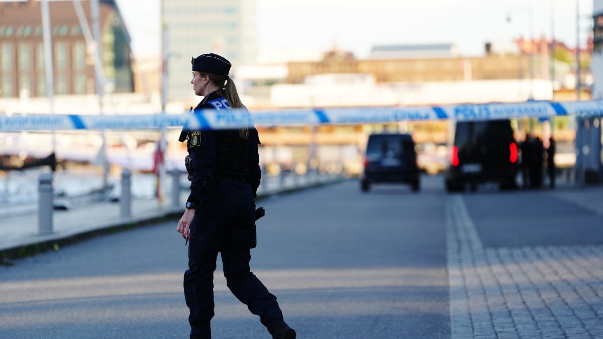 Flicka i 4-årsåldern försvunnen – polisen vädjar till allmänheten