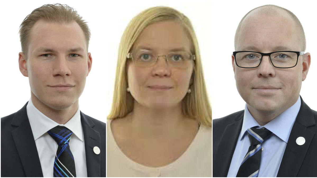 Marcus Wiechel, Julia Kronlid, Björn Söder