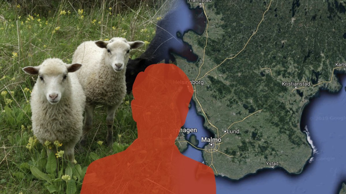 En man i Skåne har åtalats för att ha haft sex med ett får. 