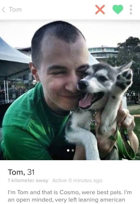 Tom och Cosmo söker en matte att gå långa promenader med. Tom och Cosmo söker en matte att gå långa promenader med.