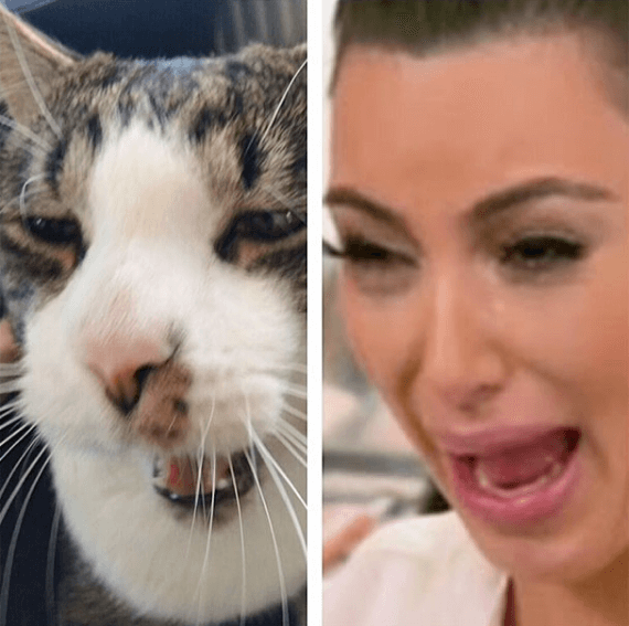 Kim Kardashian. Kim Kardashian.