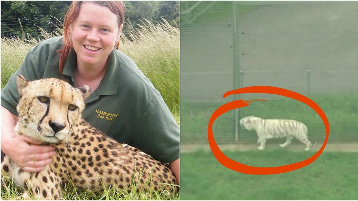 Djurskötaren Rosa King dödades av en tiger på jobbet.