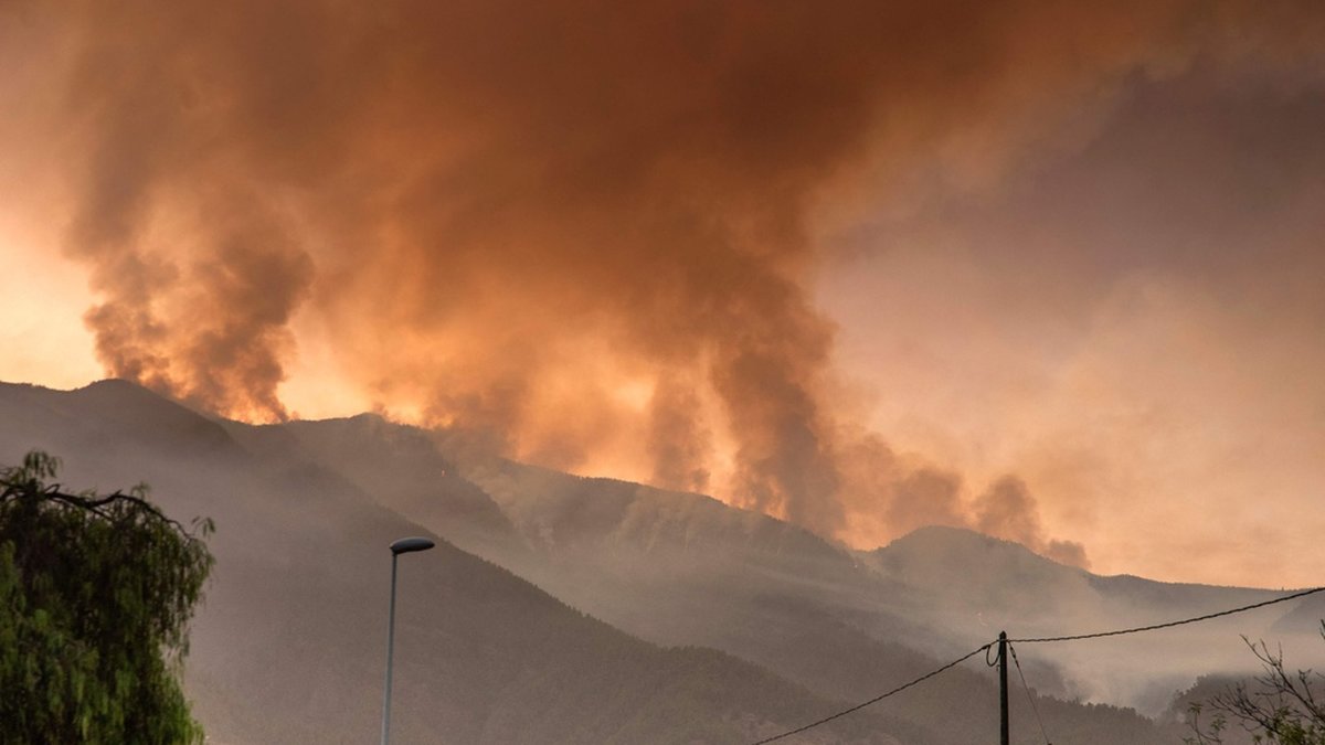 En skogsbrand är utom kontroll på Teneriffa.
