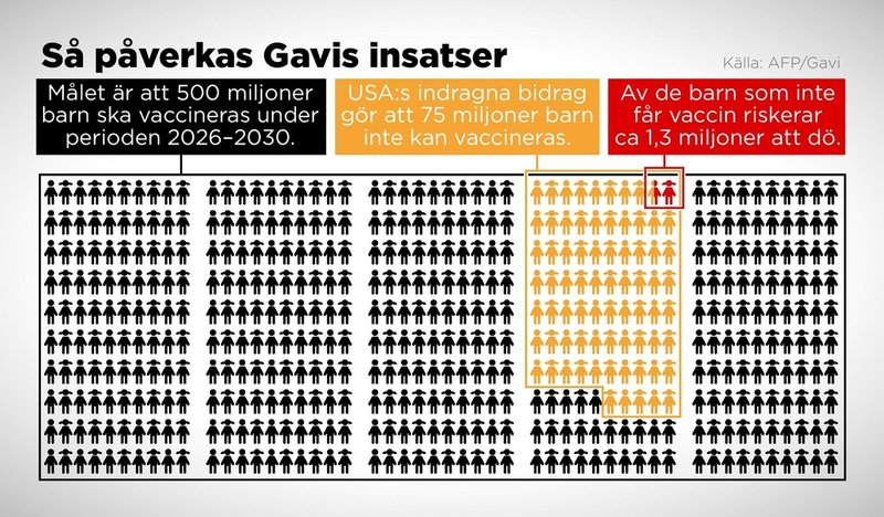 I och med USA:s indragna bidrag till organisationen Gavi för perioden 2026–2030 riskerar cirka 1,3 miljoner barn att dö som följd av uteblivna vaccinationer.