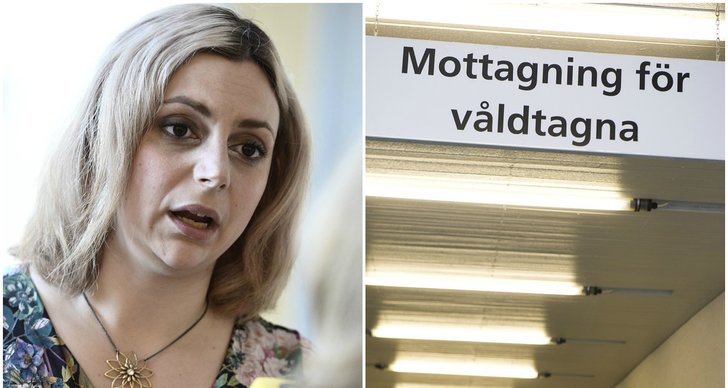 Jämställdhet, Invandring, Sverigedemokraterna