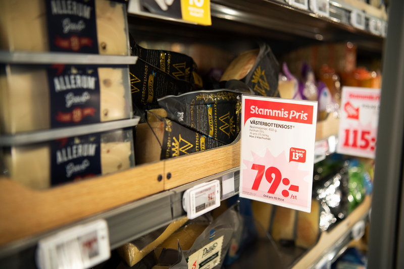 Foto: Caisa Rasmussen / TT Foto: Caisa Rasmussen / TT