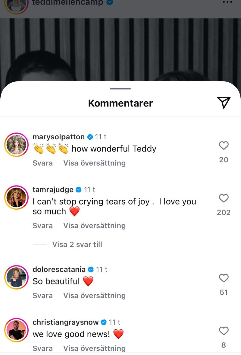 Teddi kommentarer. Teddi kommentarer.