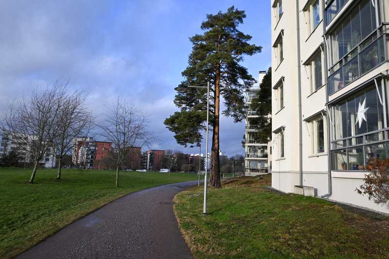 Adventsstjärnor i fönstren, men ute är det mer grönt än vitt. Halva vintern verkar ha försvunnit i Västerås, när medeltemperaturen för december–februari stigit med 1,7 grader.