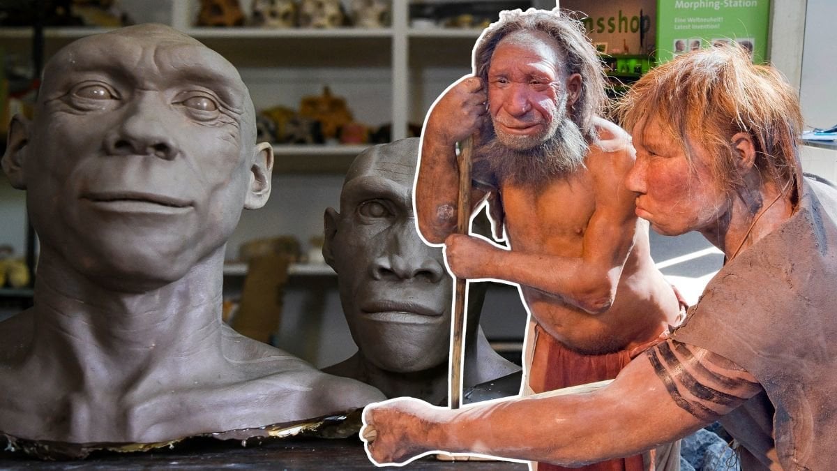 Nytt fynd: Därför gick neandertalarna under