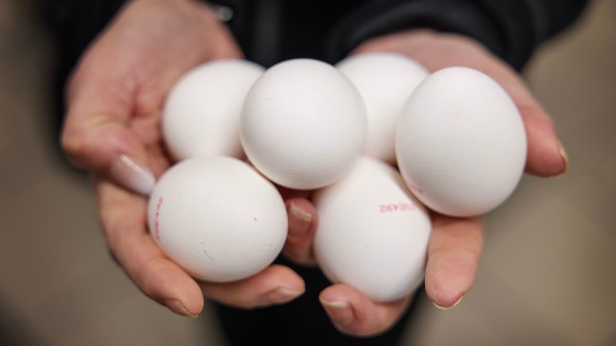 Så många dagar håller ägg i kylen