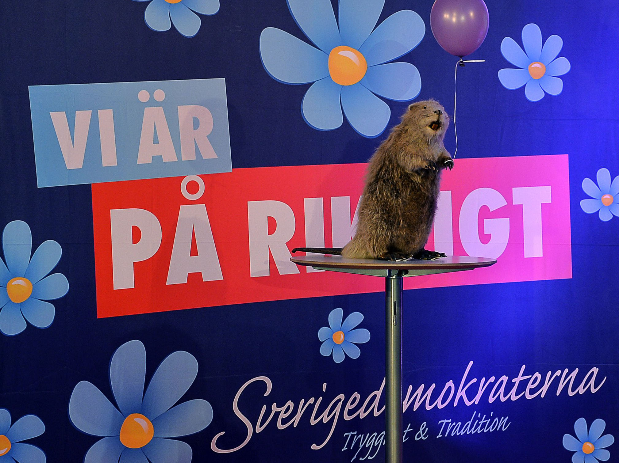 Sverigedemokraterna i Malmö bekräftar att de varit otydliga.