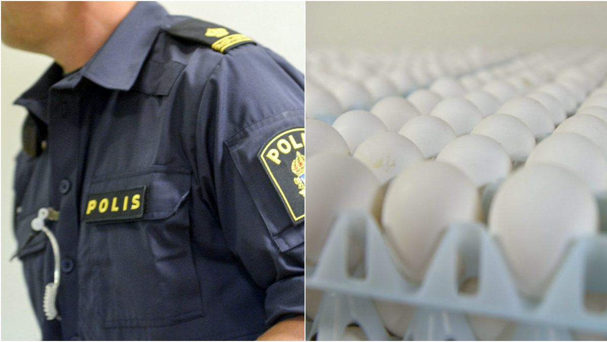 Polispatrullen fick ägg kastade mot sig.