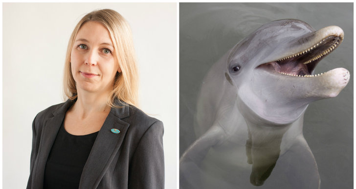 Isabella Löwengrip, Delfin, Debatt, Camilla Björkbom, Djurplågeri, Djurens rätt