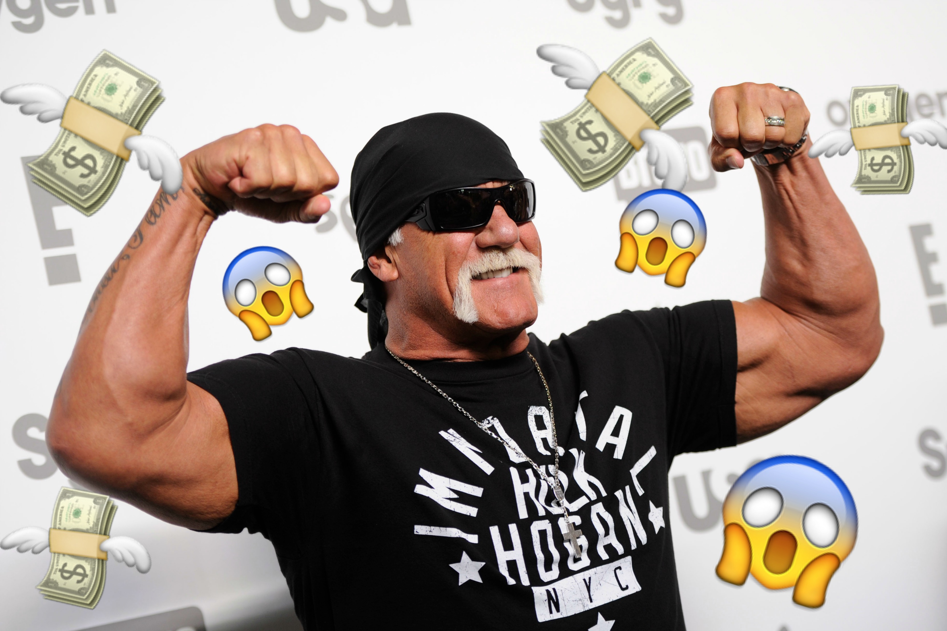 Hulk Hogan, Skadestand, Internet, sexfilm, wrestling
