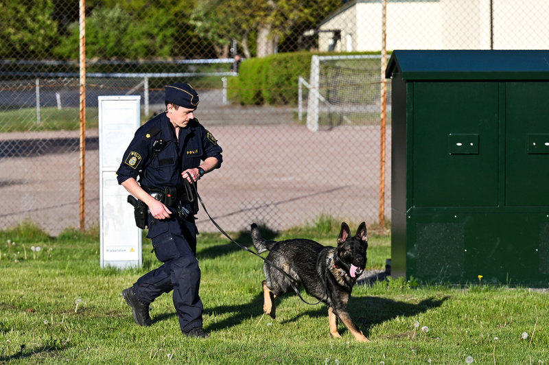 En hundpatrull deltar i insatsen.