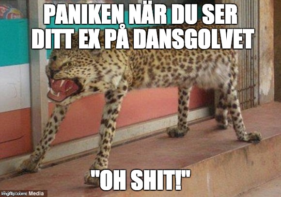 Känslan. Känslan.