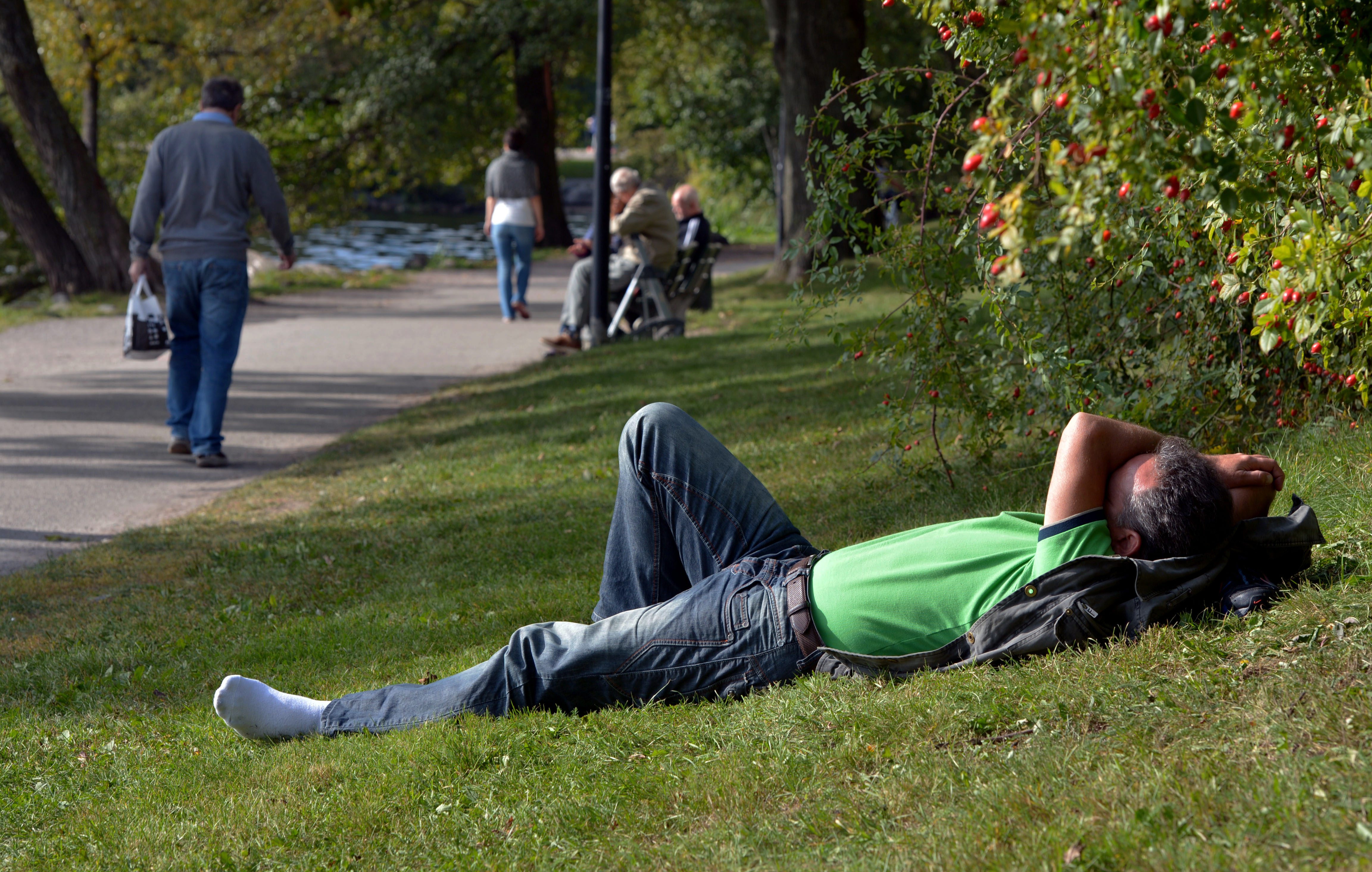 Paus i solen. En man njuter i solen vid Mälaren i Rålambshovsparken i Stockholm.