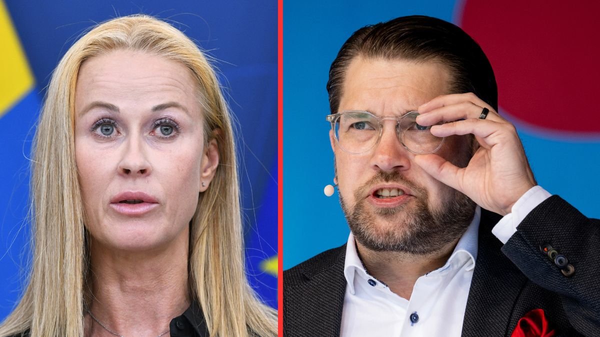 Katja Nyberg om Jimmie Åkessons påståenden: 