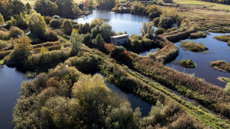 Brietzer Tecihe är populärt bland fågelskådare. Här ökar fågelarter som är sällsynta i resten av landet.
