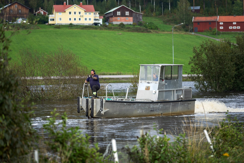 Mikael Danielsson och Per Tjernberg har med båt tagit sig ut till en timmerbråte och rensat den. Träden har förts med vattenmassorna.