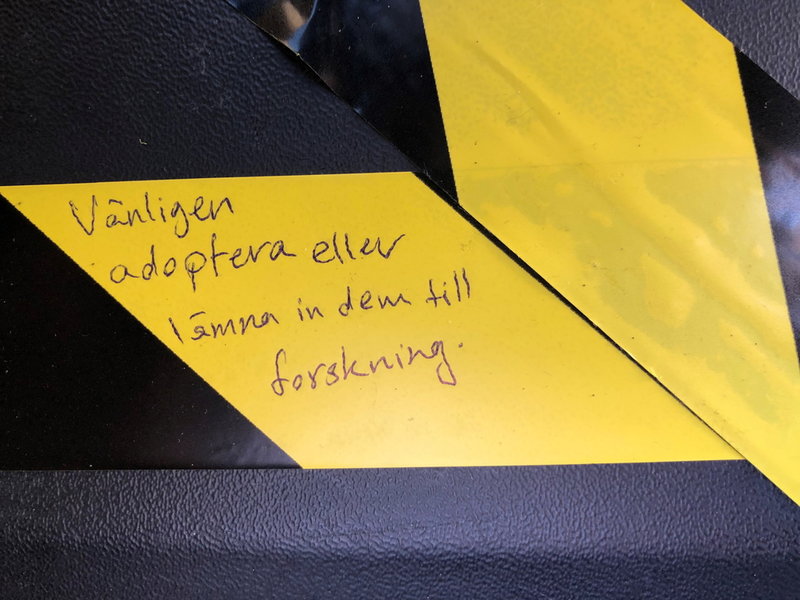 Den tidigare ägaren hade lämnat ett meddelande på terrariet.