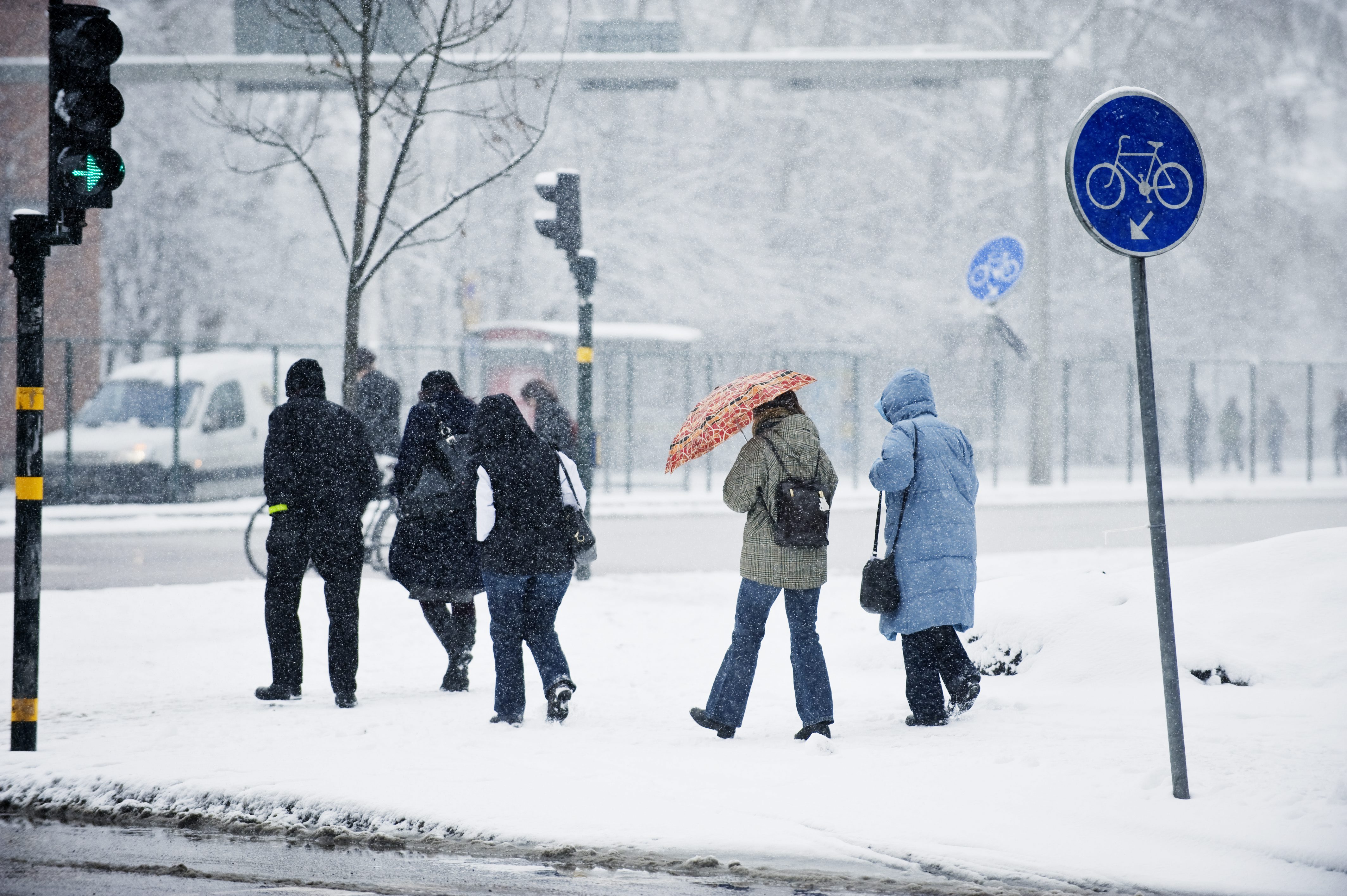 Snö, Iskyla, Väderlek, Vinter, Stockholm