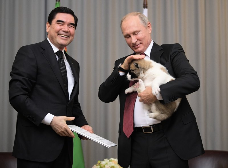 'Dog diplomacy.' Gurbanguly Berdymuchamedov tog med sig en turkmensk valp till Vladimir Putin när de två träffades i ryska Sotji 2017.